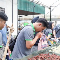 Kỹ năng Barista gồm những gì?