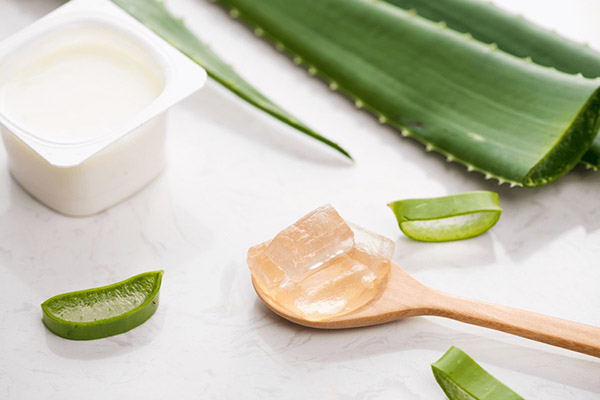 Công dụng của sữa chua nha đam