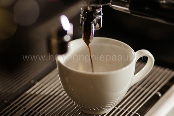 Espresso sẽ chiết xuất từ máy pha cafe